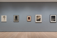 Georgia O’Keeffe: To See Takes Time. Apr 9–Aug 12, 2023.