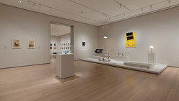 Installation photo, 7 of 16