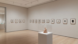 Installation photo, 8 of 14