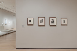 Installation photo, 9 of 14