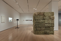 Chosen Memories: Contemporary Latin American Art from the Patricia Phelps de Cisneros Gift and Beyond. Apr 30–Sep 9, 2023. 5 other works identified