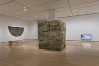 Chosen Memories: Contemporary Latin American Art from the Patricia Phelps de Cisneros Gift and Beyond (en español). Apr 30–Sep 9, 2023. 1 other work identified