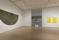 Chosen Memories: Contemporary Latin American Art from the Patricia Phelps de Cisneros Gift and Beyond. Apr 30–Sep 9, 2023. 3 other works identified