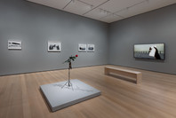 Chosen Memories: Contemporary Latin American Art from the Patricia Phelps de Cisneros Gift and Beyond. Apr 30–Sep 9, 2023. 1 other work identified