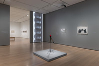 Chosen Memories: Contemporary Latin American Art from the Patricia Phelps de Cisneros Gift and Beyond. Apr 30–Sep 9, 2023. 2 other works identified