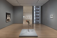 Chosen Memories: Contemporary Latin American Art from the Patricia Phelps de Cisneros Gift and Beyond. Apr 30–Sep 9, 2023. 6 other works identified