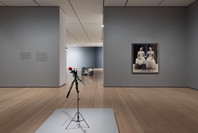 Chosen Memories: Contemporary Latin American Art from the Patricia Phelps de Cisneros Gift and Beyond. Apr 30–Sep 9, 2023. 1 other work identified