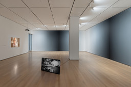Installation photo, 56 of 66