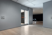 Chosen Memories: Contemporary Latin American Art from the Patricia Phelps de Cisneros Gift and Beyond (en español). Apr 30–Sep 9, 2023.