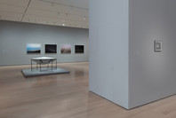 Chosen Memories: Contemporary Latin American Art from the Patricia Phelps de Cisneros Gift and Beyond. Apr 30–Sep 9, 2023. 2 other works identified