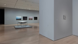 Installation photo, 10 of 66