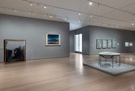 Chosen Memories: Contemporary Latin American Art from the Patricia Phelps de Cisneros Gift and Beyond. Apr 30–Sep 9, 2023. 6 other works identified