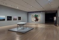 Chosen Memories: Contemporary Latin American Art from the Patricia Phelps de Cisneros Gift and Beyond. Apr 30–Sep 9, 2023. 4 other works identified