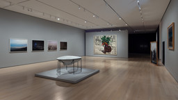 Installation photo, 14 of 66