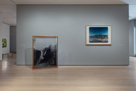 Chosen Memories: Contemporary Latin American Art from the Patricia Phelps de Cisneros Gift and Beyond. Apr 30–Sep 9, 2023. 1 other work identified