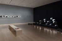 Chosen Memories: Contemporary Latin American Art from the Patricia Phelps de Cisneros Gift and Beyond. Apr 30–Sep 9, 2023. 8 other works identified