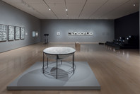 Chosen Memories: Contemporary Latin American Art from the Patricia Phelps de Cisneros Gift and Beyond. Apr 30–Sep 9, 2023. 14 other works identified