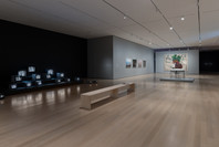 Chosen Memories: Contemporary Latin American Art from the Patricia Phelps de Cisneros Gift and Beyond. Apr 30–Sep 9, 2023. 5 other works identified