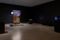 Chosen Memories: Contemporary Latin American Art from the Patricia Phelps de Cisneros Gift and Beyond. Apr 30–Sep 9, 2023. 2 other works identified