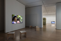 Chosen Memories: Contemporary Latin American Art from the Patricia Phelps de Cisneros Gift and Beyond. Apr 30–Sep 9, 2023. 1 other work identified