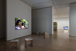 Installation photo, 26 of 66