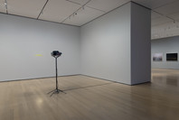 Chosen Memories: Contemporary Latin American Art from the Patricia Phelps de Cisneros Gift and Beyond. Apr 30–Sep 9, 2023.