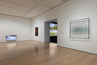 Chosen Memories: Contemporary Latin American Art from the Patricia Phelps de Cisneros Gift and Beyond. Through Sep 9. 2 other works identified