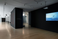Chosen Memories: Contemporary Latin American Art from the Patricia Phelps de Cisneros Gift and Beyond. Through Sep 9.