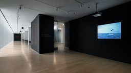 Installation photo, 3 of 66