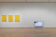 Chosen Memories: Contemporary Latin American Art from the Patricia Phelps de Cisneros Gift and Beyond. Apr 30–Sep 9, 2023. 3 other works identified