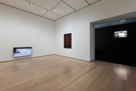 Chosen Memories: Contemporary Latin American Art from the Patricia Phelps de Cisneros Gift and Beyond. Through Sep 9. 1 other work identified