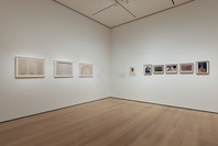 Chosen Memories: Contemporary Latin American Art from the Patricia Phelps de Cisneros Gift and Beyond. Apr 30–Sep 9, 2023. 2 other works identified