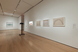 Installation photo, 37 of 66
