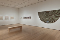Chosen Memories: Contemporary Latin American Art from the Patricia Phelps de Cisneros Gift and Beyond. Apr 30–Sep 9, 2023. 2 other works identified