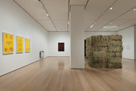 Chosen Memories: Contemporary Latin American Art from the Patricia Phelps de Cisneros Gift and Beyond (en español). Apr 30–Sep 9, 2023. 5 other works identified
