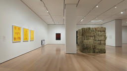Installation photo, 40 of 66