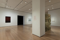 Chosen Memories: Contemporary Latin American Art from the Patricia Phelps de Cisneros Gift and Beyond (en español). Apr 30–Sep 9, 2023. 3 other works identified