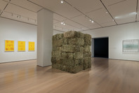 Chosen Memories: Contemporary Latin American Art from the Patricia Phelps de Cisneros Gift and Beyond. Apr 30–Sep 9, 2023. 4 other works identified