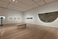Chosen Memories: Contemporary Latin American Art from the Patricia Phelps de Cisneros Gift and Beyond. Apr 30–Sep 9, 2023. 2 other works identified