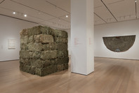 Chosen Memories: Contemporary Latin American Art from the Patricia Phelps de Cisneros Gift and Beyond. Apr 30–Sep 9, 2023. 1 other work identified