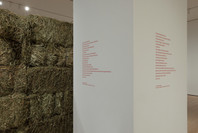 Chosen Memories: Contemporary Latin American Art from the Patricia Phelps de Cisneros Gift and Beyond. Apr 30–Sep 9, 2023.