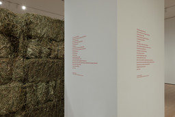 Installation photo, 45 of 66