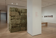 Chosen Memories: Contemporary Latin American Art from the Patricia Phelps de Cisneros Gift and Beyond. Apr 30–Sep 9, 2023.