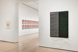Installation photo, 6 of 9
