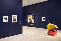 Installation photo, 5 of 8