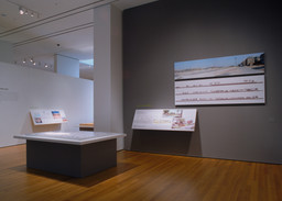 Installation photo, 24 of 35