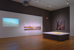 Installation photo, 28 of 35