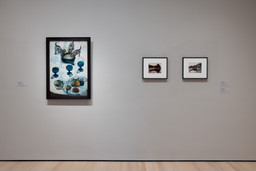 Installation photo, 14 of 21