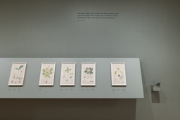 Installation photo, 44 of 50