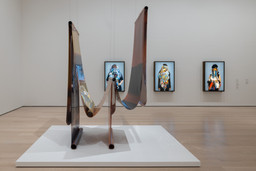 Installation photo, 8 of 9